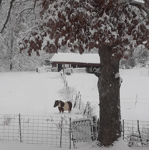 Meet your Posher, Kathy